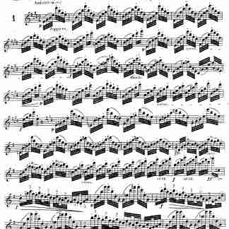 Paganini arr. Herman - 24 Caprices for Solo Violin, Op.1 - Flute